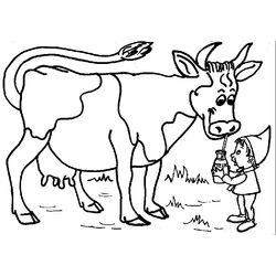 Vaca #9798