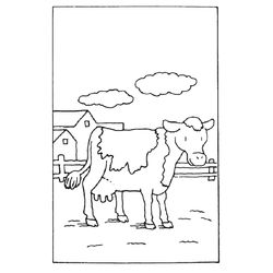 Vaca #9800