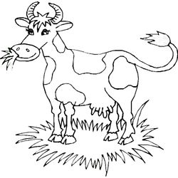 Vaca #9805
