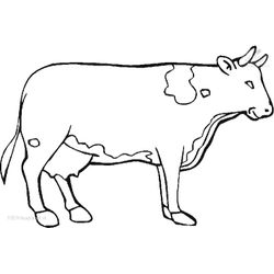 Vaca #9812
