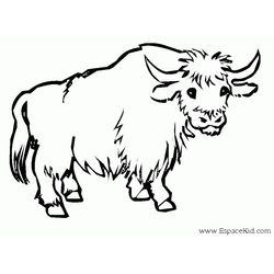 Vaca #9813