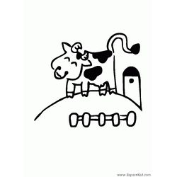 Vaca #9816