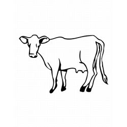Vaca #9822