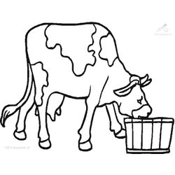 Vaca #9834