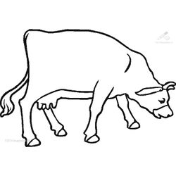 Vaca #9843