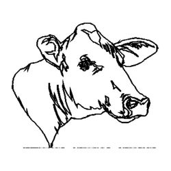 Vaca #9844