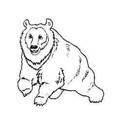 Zoo #10002