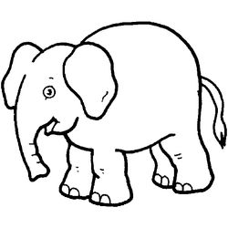 Zoo #10004