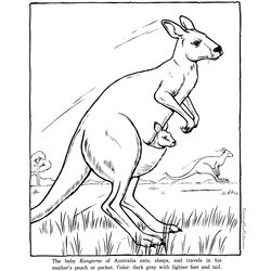 Zoo #10010