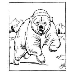 Zoo #10016