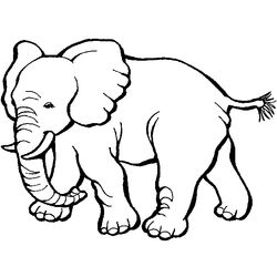 Zoo #10018