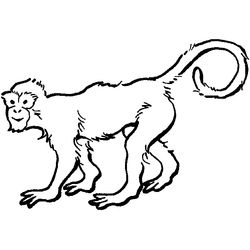 Zoo #10022