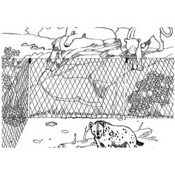 Zoo #10025
