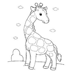 Zoo #10027