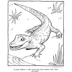 Zoo #10029