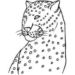 Zoo #10035