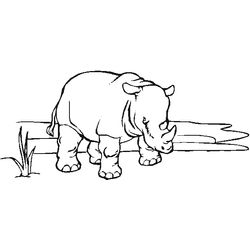 Zoo #10041
