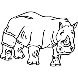 Zoo #10043