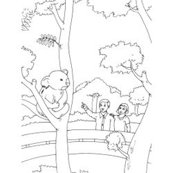 Zoo #10046