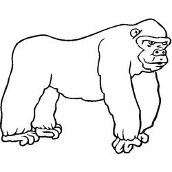 Zoo #10047