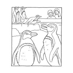 Zoo #10050