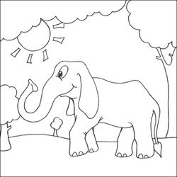Zoo #10052