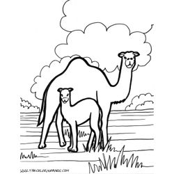 Zoo #10055