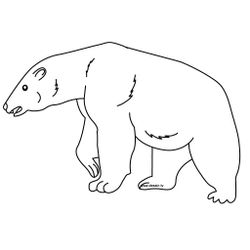 Zoo #10056