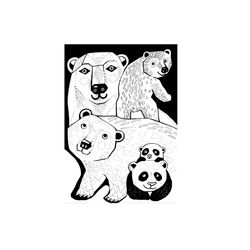 Zoo #10058