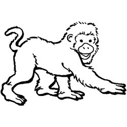 Zoo #10061
