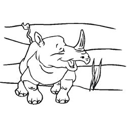 Zoo #10062