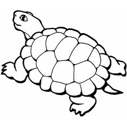 Zoo #10067