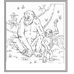 Zoo #10070