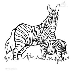 Zoo #10071