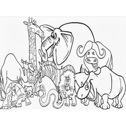Zoo #9876