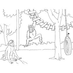Zoo #9883