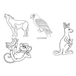 Zoo #9888