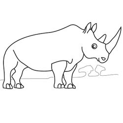 Zoo #9891