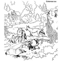 Zoo #9895