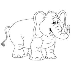 Zoo #9897