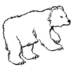 Zoo #9898