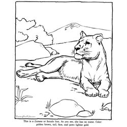 Zoo #9899