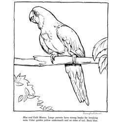 Zoo #9902