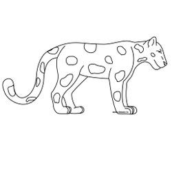 Zoo #9906