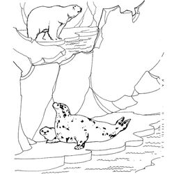 Zoo #9910