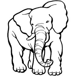 Zoo #9918