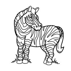 Zoo #9924