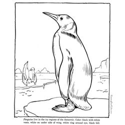 Zoo #9934