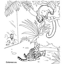 Zoo #9938