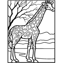 Zoo #9941